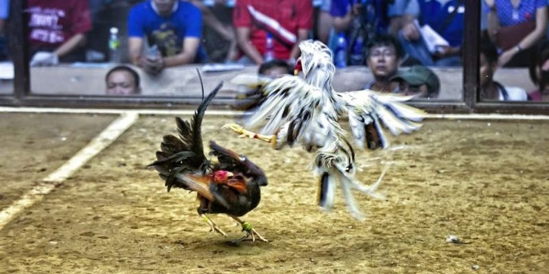 qh77 ﻿đăng nhập lô đề uy tín