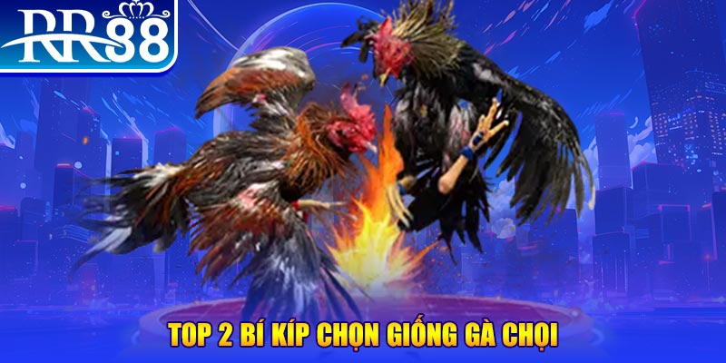 qh77 bắn cá h5