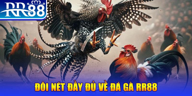qh77 gà chọi hoà phong