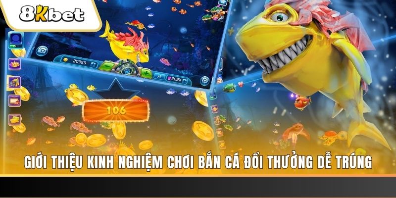 qh77 xổ số miền bắc hôm