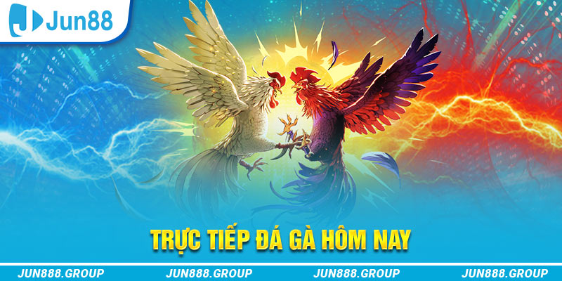qh77 trực tiếp đá gà thomo