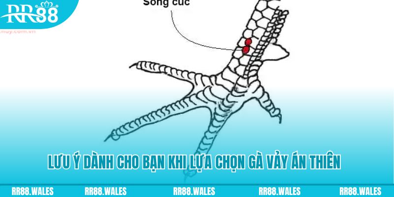 qh77 xổ số khánh hòa