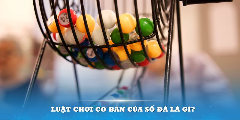 qh77 Đĩa màu ace