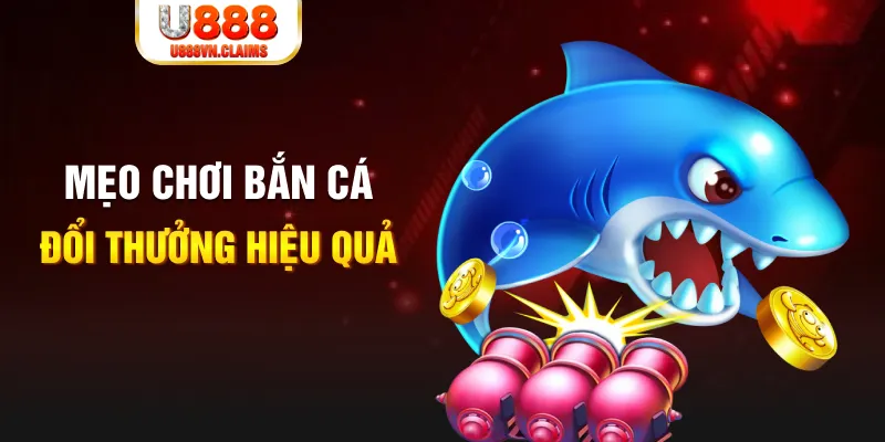 qh77 xổ số thứ năm hàng tuần