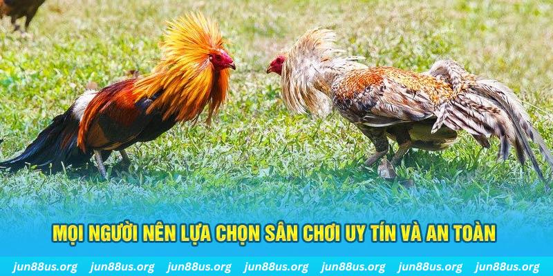 qh77 Tài Xỉu