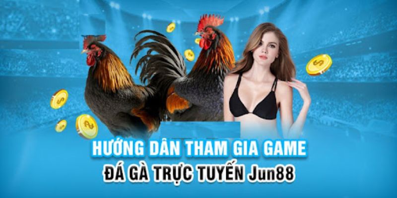 qh77 slot có nghĩa là gì