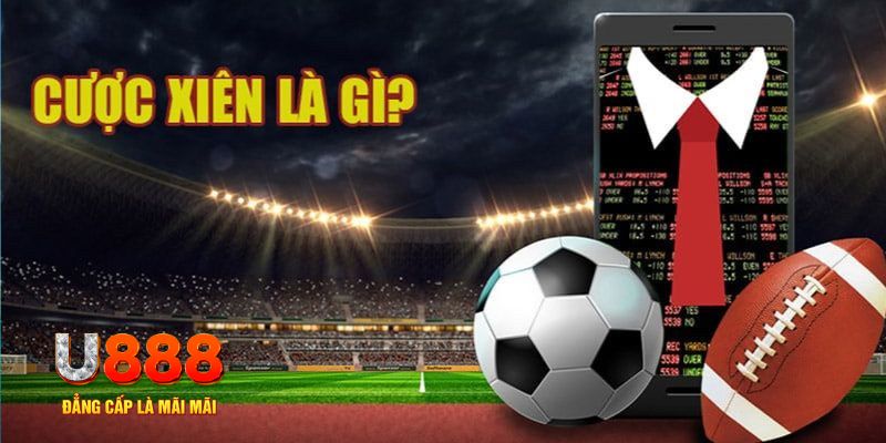 qh77 đá gà thomo hôm nay